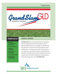 Information sheet for Grand Slam GLD perennial ryegrass seed variety.