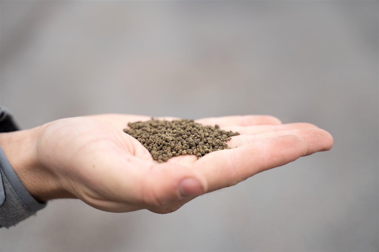 5-1-3 Natural Lawn Fertilizer - Image 2